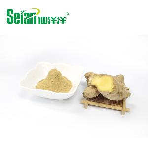 Instant Ginger Extract Powder