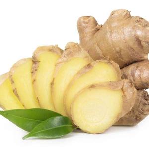 Quality fresh ginger for export
