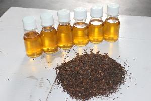 sesame oil