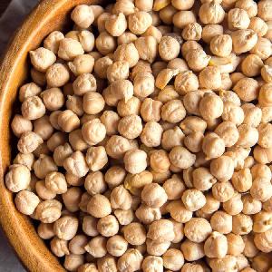 Kabuli Chickpeas
