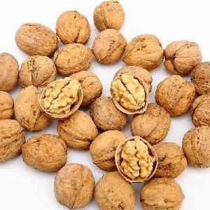 Walnut Kernel, Walnut Halves, Walnut Shelled and inshell