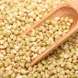 Buckwheat