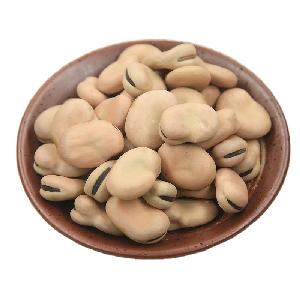 Fava Beans