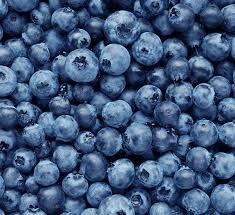Top Quality IQF Frozen Blueberries With Best Price