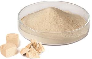Factory Supply Yeast Extract Powder