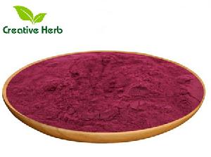 Free sample  bulk  inventory black chokeberry powder/Aronia berry  extract /aronia melanocarpa powder
