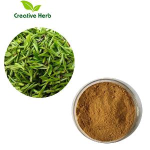 Pure Natural  Green   Tea  Extract  polyphenol s,  Catechins , Epicatechin ,EGCG(Epigallocatechin gallate )