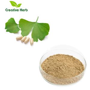 cardiovascular & brain health improvement with natural Gingko biloba extract 24/6