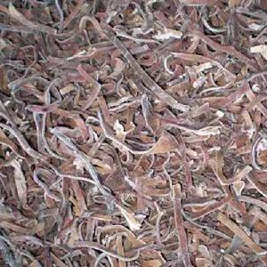 frozen black fungus strips