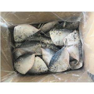 Supply Moonfish / Frozen Fish 150-200g/Seafood
