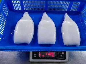 Frozen squid tube