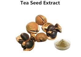 Natural Herbal Extract for Cleaning Shrimp Pond Tea Saponin 75%