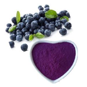 Natural Food Grade  Dried   Blueberry   Powder  with Best Price