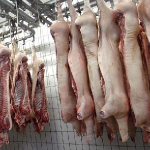 Frozen Pork Carcass 4-way 6-way Cuts
