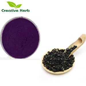 Freeze dried Chinese black wolfberry powder/Organic black goji berry / black goji berry powder