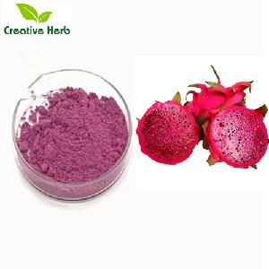 Free sample large stock Freeze dried red dragon fruit powder / 100% CWS red dragon fruit powder