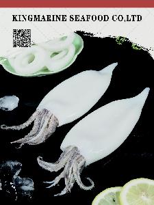 Frozen  squid   products 