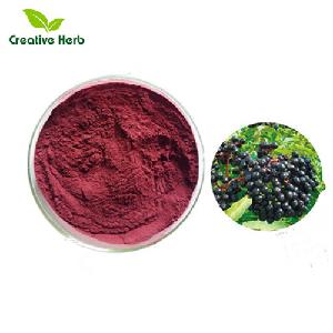 Anti-flu and Colds treatment effects with Elderberry Extract. Freeze-dried Elderberry Fruit Powder
