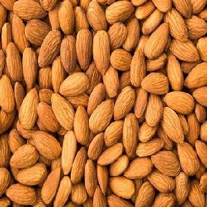 Premium Quality Natural Almond Kernel