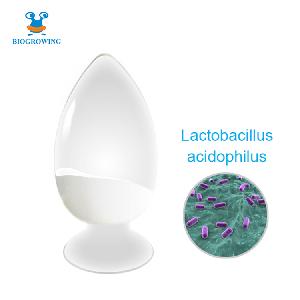 High Stability Freeze-dried Probiotics Live bacteria  Lactobacillus  acidophilus