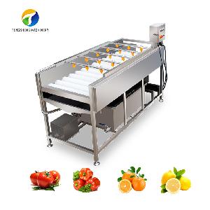 Large parallel brush fruit and  vegetable   cleaning   machine  TS-M100