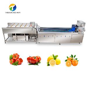 Large fruit and vegetable brush washing cleaning production line customization
