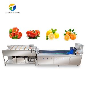 Large industrial fruit and vegetable brush cleaning production line customization