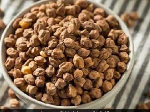 Indian Chickpea