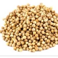 Indian Coriander Seeds