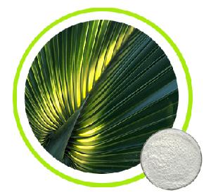 Saw Palmetto Extract