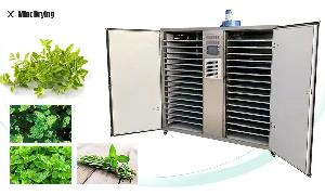 How to dry mint by the electric drying oven?