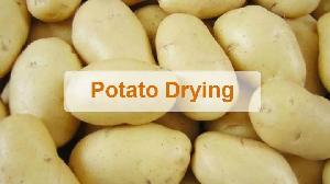 Potato dryer | Sweet potato drying equipment | Dried potato flakes