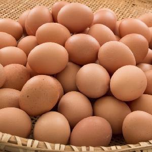 White and Brown Chicken Eggs
