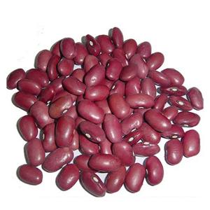  Dark   Red   Kidney   Bean s Long Shape  Kidney   Bean s