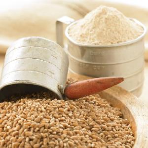 Best Ukraine  Wheat  grain/soft milling  Wheat  for sale,  Wheat  Flour and  Wheat  Germ For sale,  Durum  and