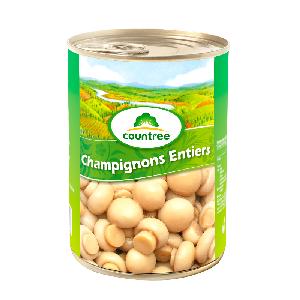 mushroom Canned whole in China with factory price