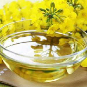 Refined Canola Oil For Sale