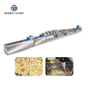 Industrial Fruit and Vegetable Washing, Drying and Cutting Machine Production Line