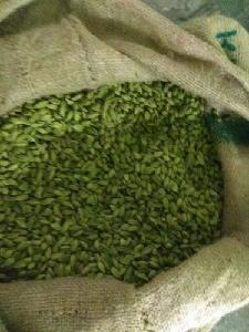 Cardamom spices ( Green / brown ) For Sale