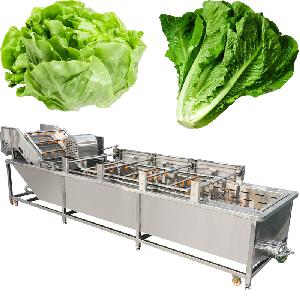 Industrial Green Leafy Vegetables Lettuce Washing Machine
