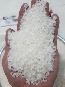 Japonica Rice- Sushi Rice- Japanese rice- Calrose Rice
