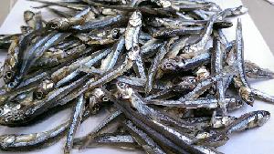 Wholesales Dried Anchovies Fish from Vietnam