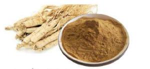Ginseng extract