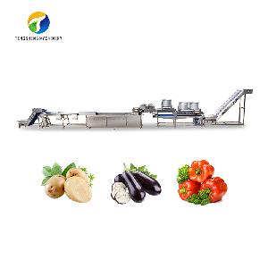 Automatic Vegetable and Fruit Selection Washing and Drying Production Line Food Processor