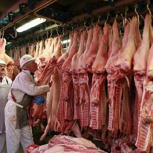 Buy Frozen Pork Carcass 4-way 6-way Cuts export
