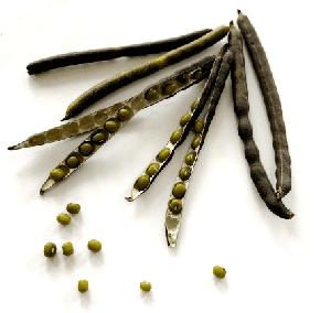 Mung Beans