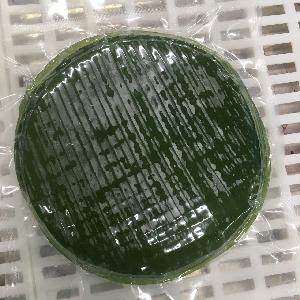  Fresh   banana  leaves for sales/ frozen  banana  leaf for wrapping