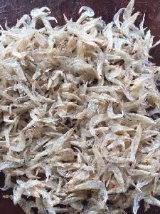 Factory price dry baby shrimp/ Dried baby shrimp