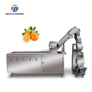 Stainless Steel Vegetable and Fruit Brush Bubble Washing Machine Production Line