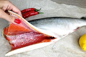 Wild-Caught Frozen Salmon Fish